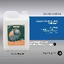 WhatsApp Image 2025-10-15 at 18.27.48 (1).webp