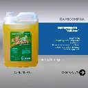 WhatsApp Image 2025-10-15 at 18.27.46.webp