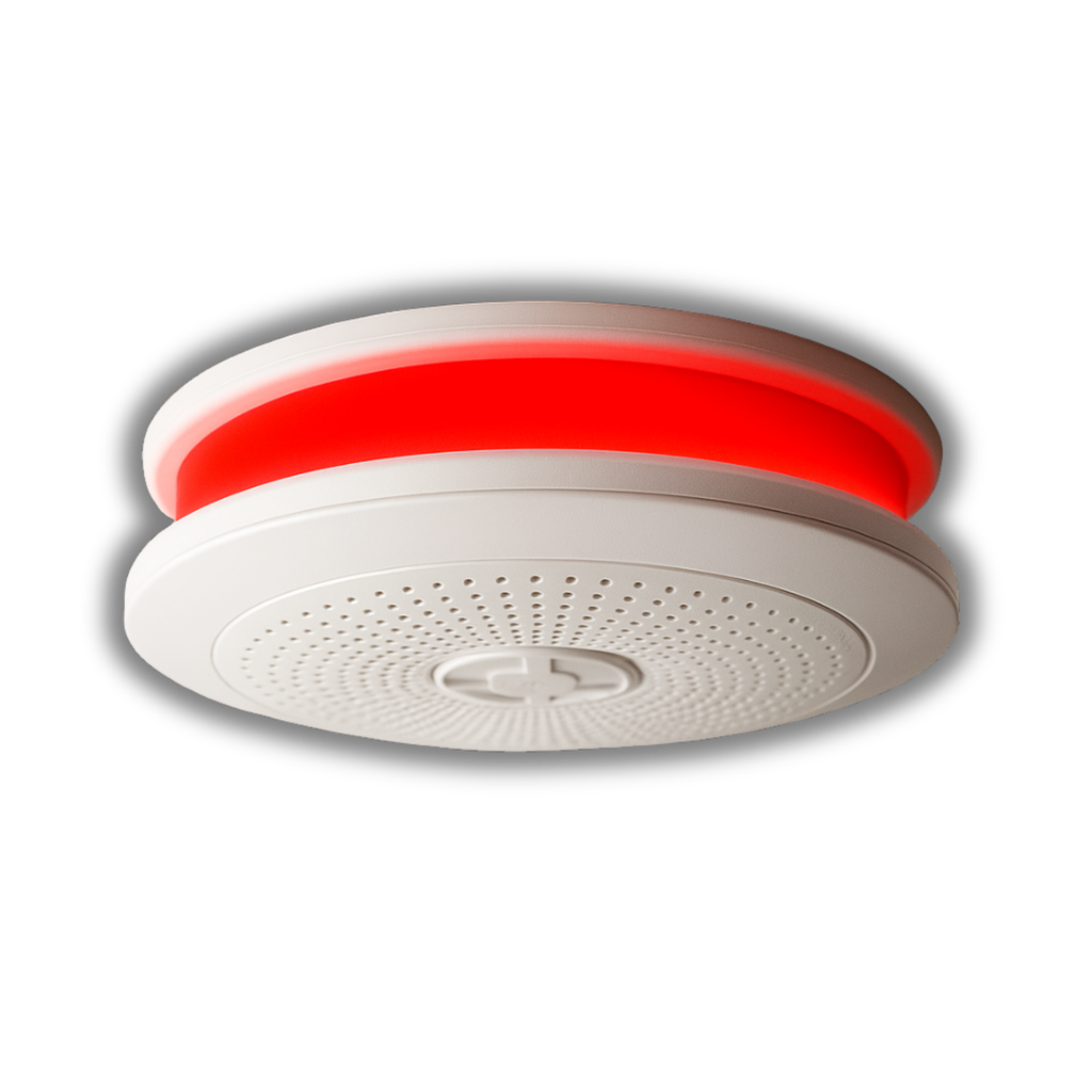 Detector Inteligente