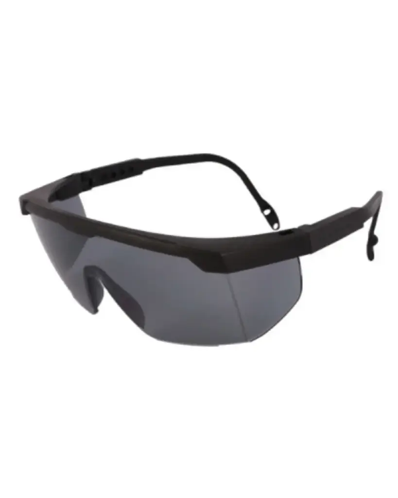 Lentes Protección Visual
