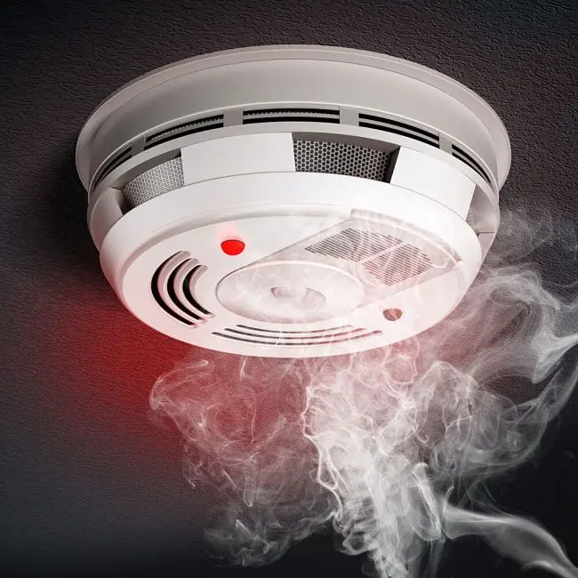 Detector Inteligente